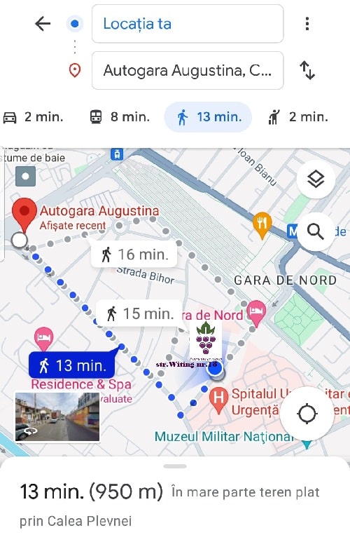 Contact 3 Bulbiolanda Autogara Augustina