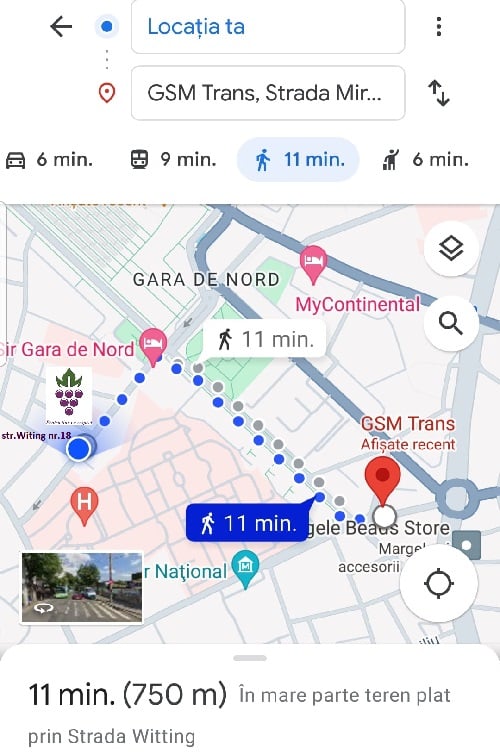 Contact 4 Bulbiolanda autogara GSM Trans